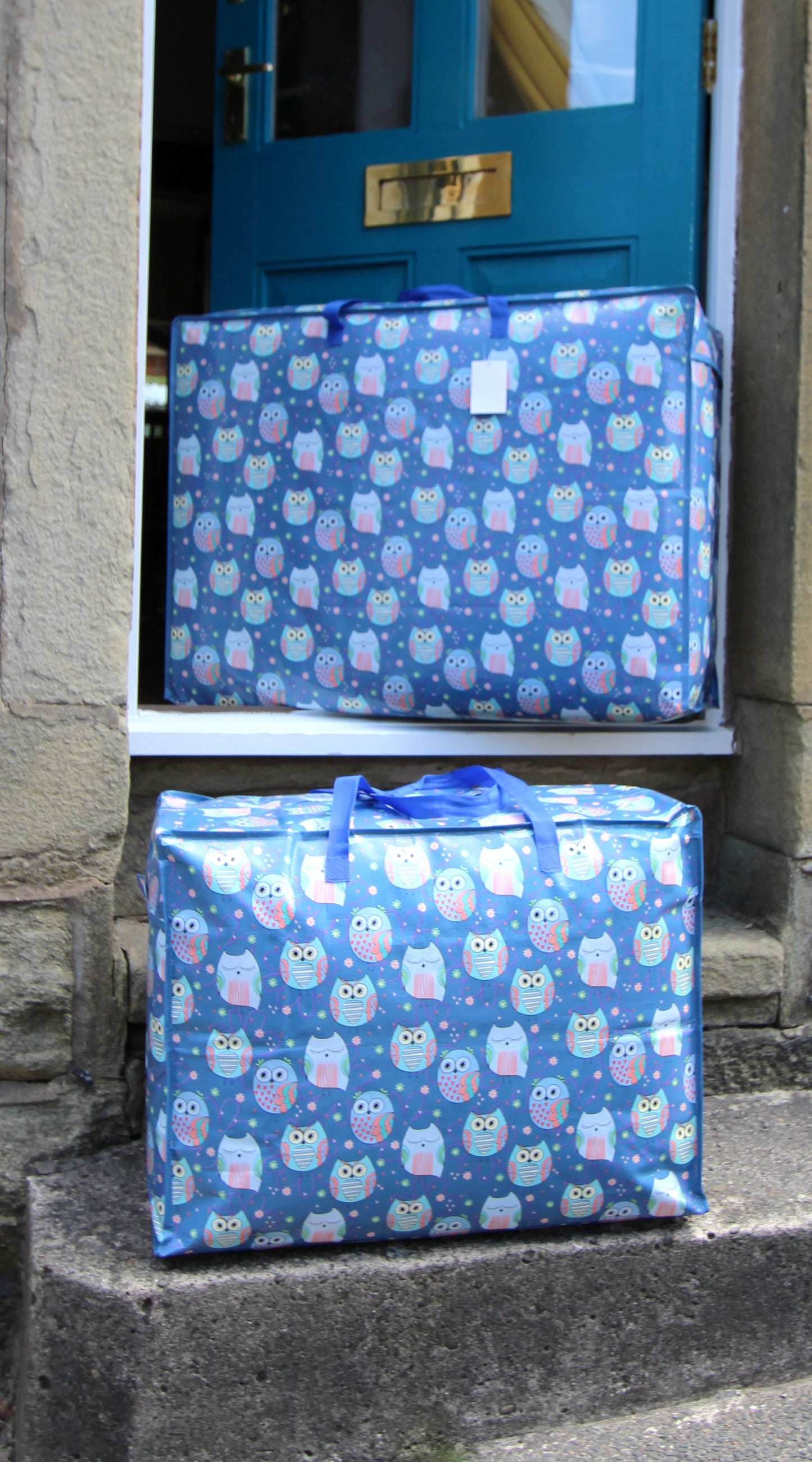 Sleepy Owls Print Laundry Storage Bag